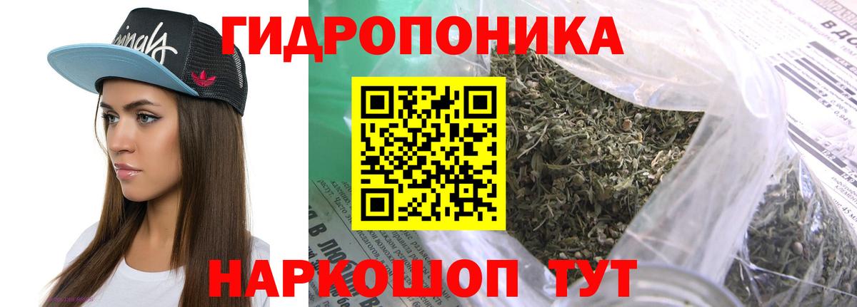Каннабис конопля Лесосибирск